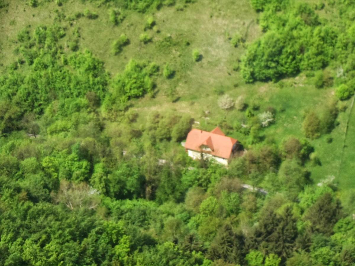 Nicehead Spacious Nest Between Maribor And Celje Apartman Loče pri Poljčanah Kültér fotó